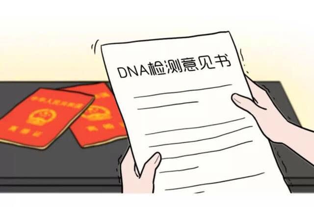 科学不会说谎：解读上海亲子鉴定报告单上的每一个字符
