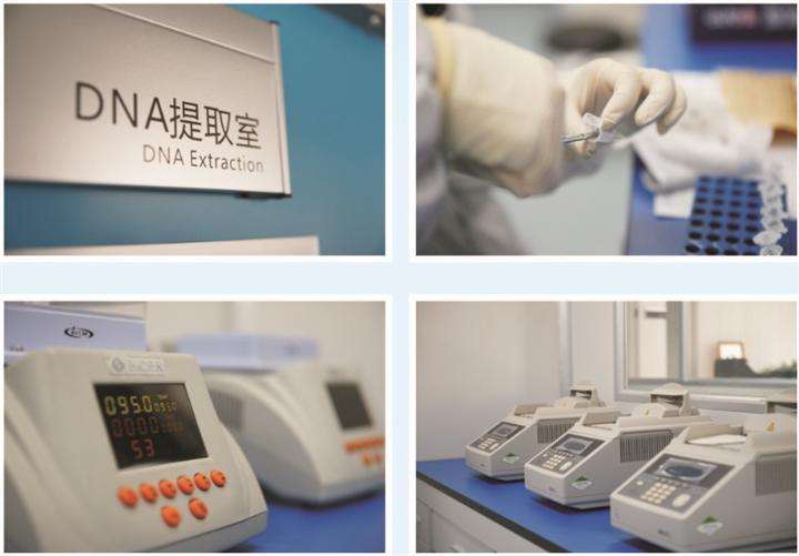 从咨询到报告：在上海做一次亲子鉴定的完整步骤和注意事项